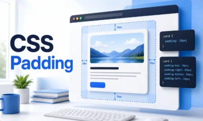 CSS Padding
